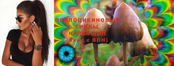 стаф Липки