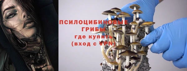 стаф Липки