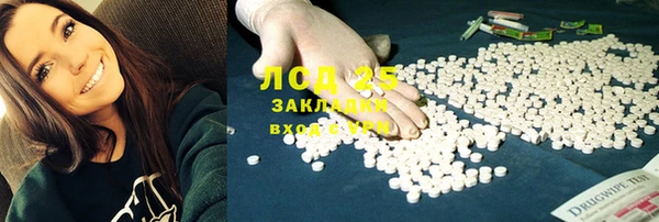 стаф Липки
